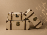 Thobk Trunk